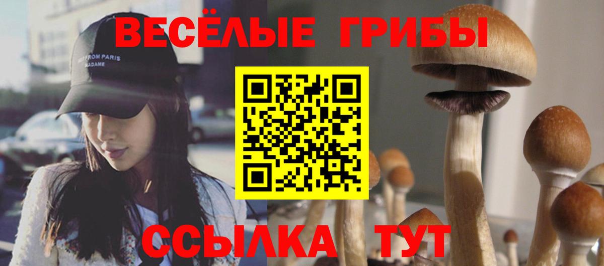 Псилоцибиновые грибы Psilocybine cubensis  Вход с VPN  купить наркотик  Ачхой-Мартан 